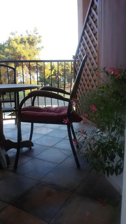 Apartments Blanca Vodice Oda fotoğraf